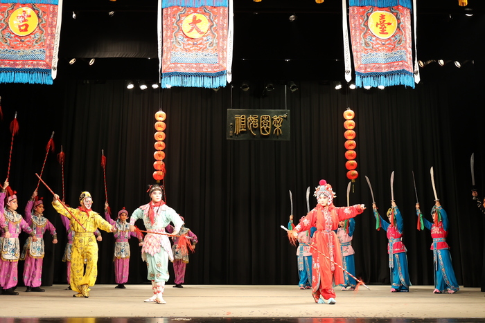 《搖錢寶樹》節目